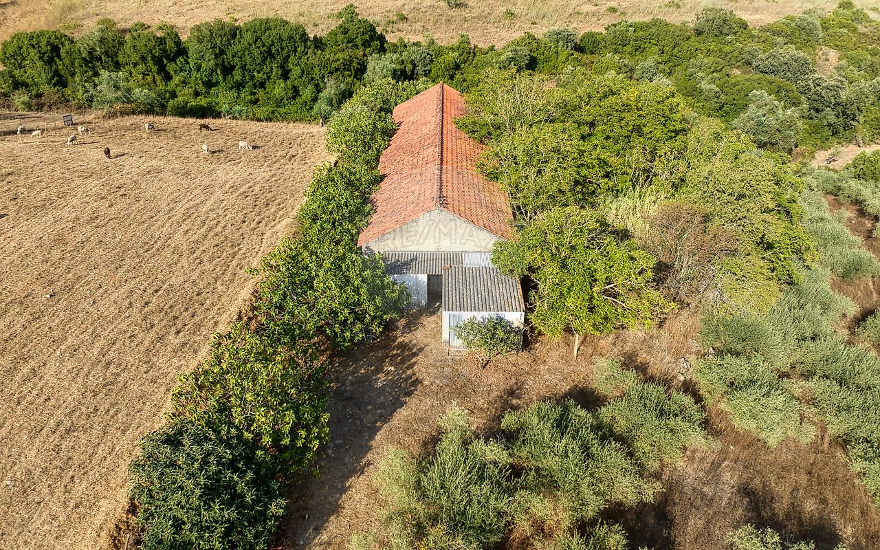 Moradia T4 à venda em Azoia de Cima e Tremês, Santarém — foto 26