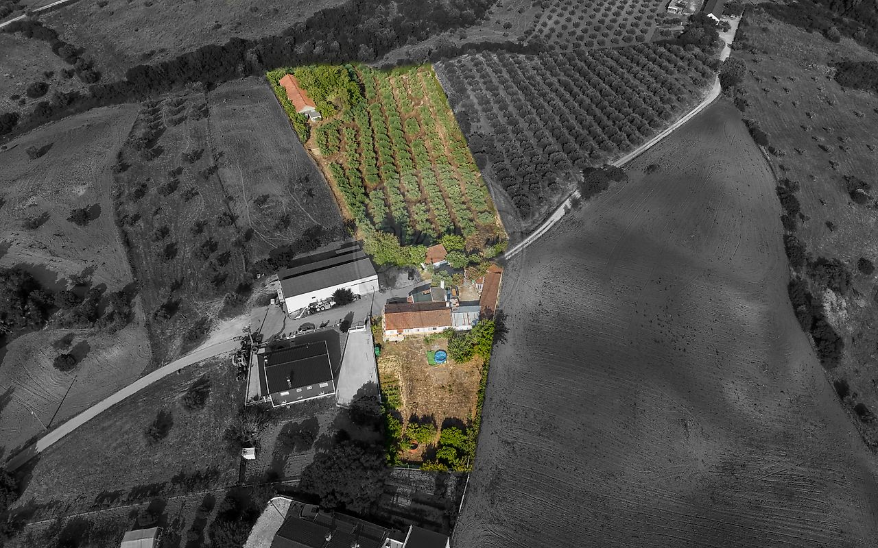 Moradia T4 à venda em Azoia de Cima e Tremês, Santarém — foto 10