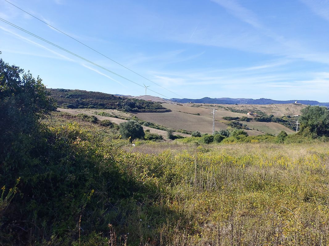 Terreno  à venda em Mafra