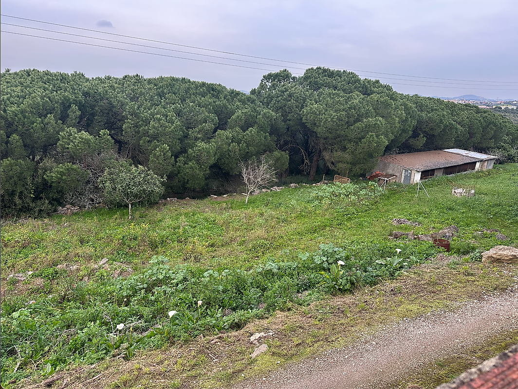 Terreno  à venda em Sintra