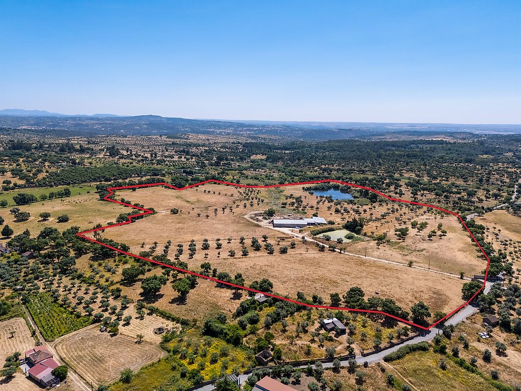 Terreno  à venda em Castelo Branco