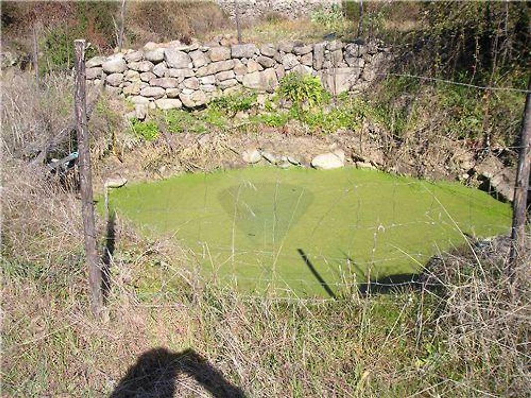 Quinta T0 à venda em Idanha-a-Nova