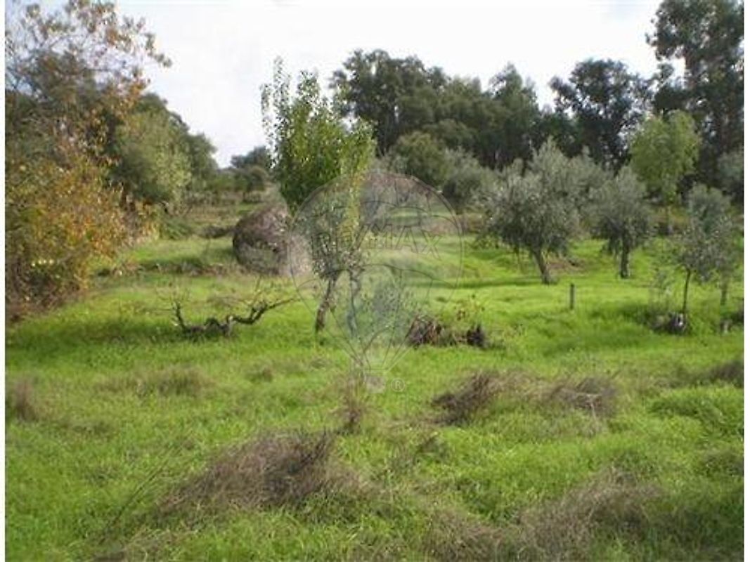 Terreno à venda em Idanha-a-Nova