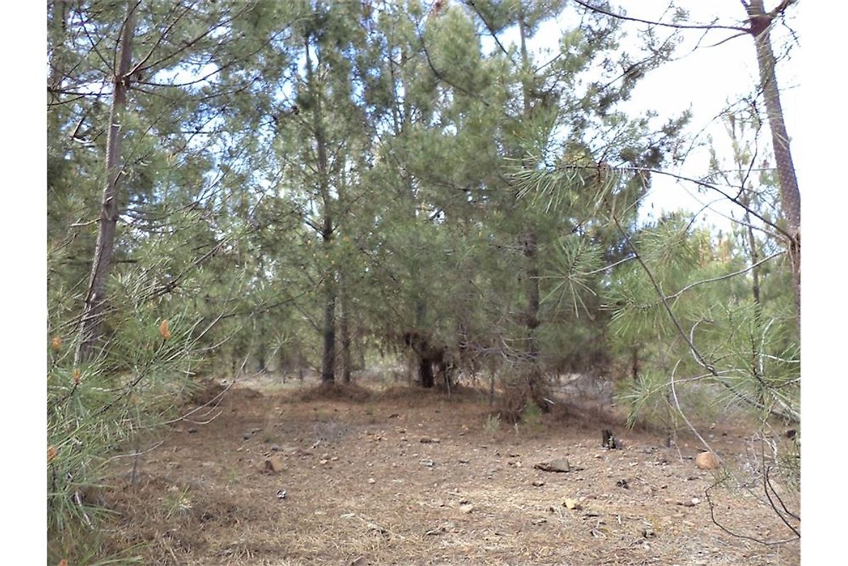 Quinta - Fundão, Valverde, Donas, Aldeia de Joanes e Aldeia Nova do Cabo, Fundão, Castelo Branco