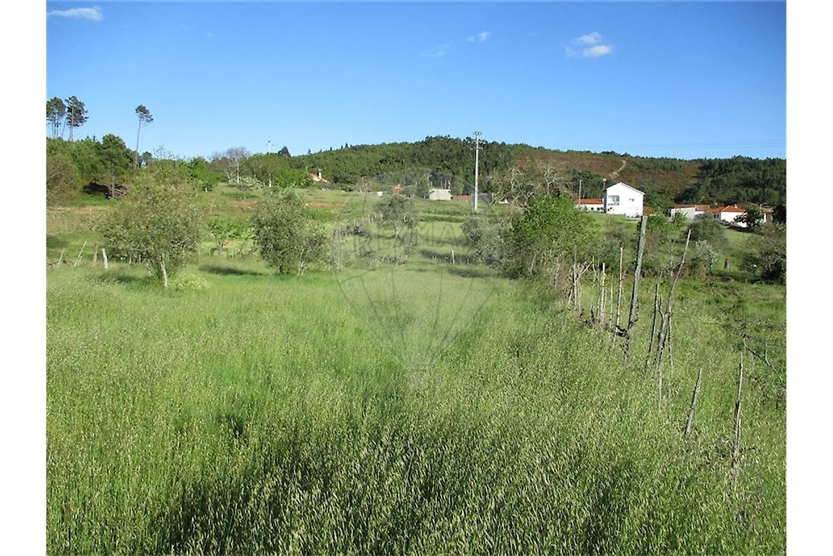 Quinta T0 à venda em Oleiros
