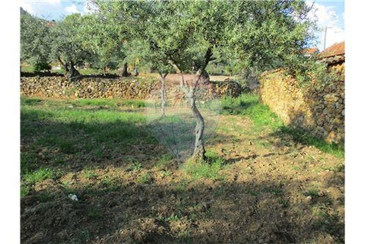 Quinta T0 à venda em Idanha-a-Nova