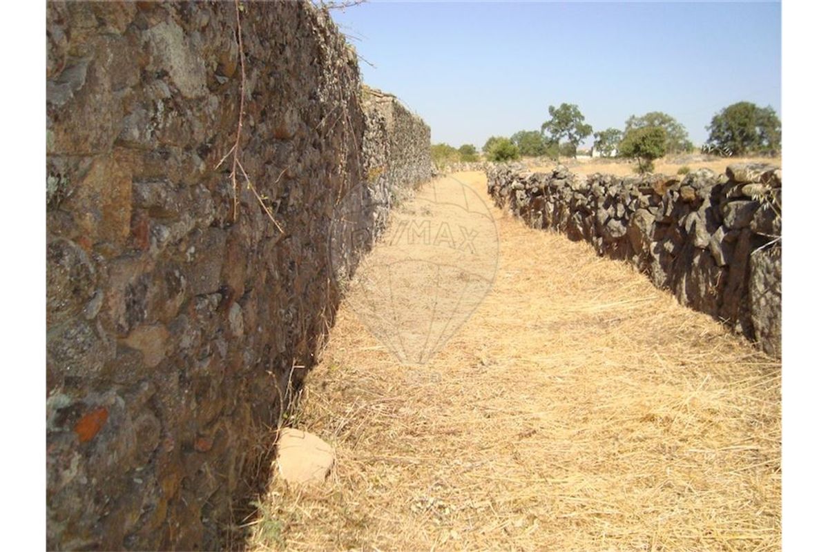 Terreno Agrícola