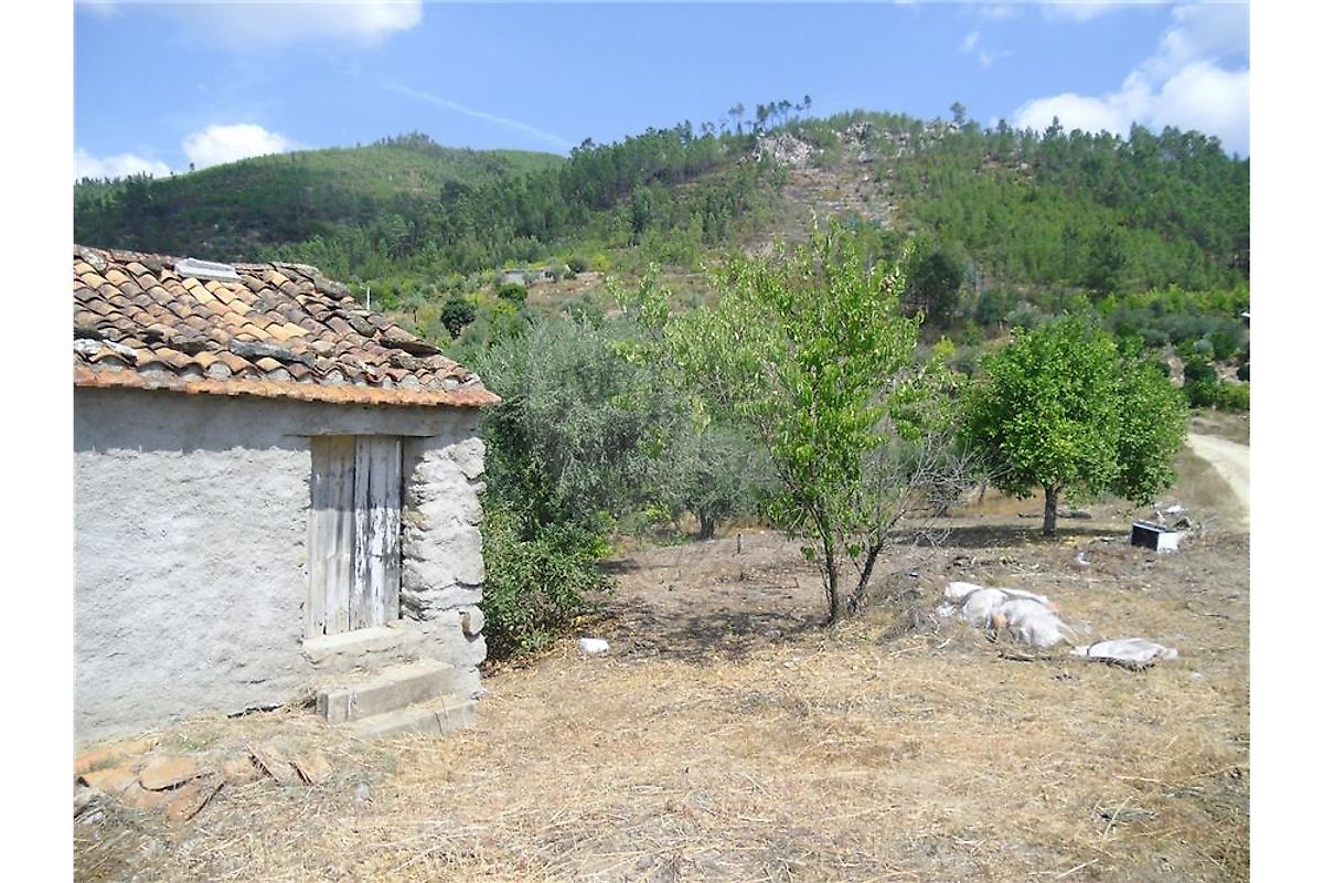 Terreno  à venda em Proença-a-Nova