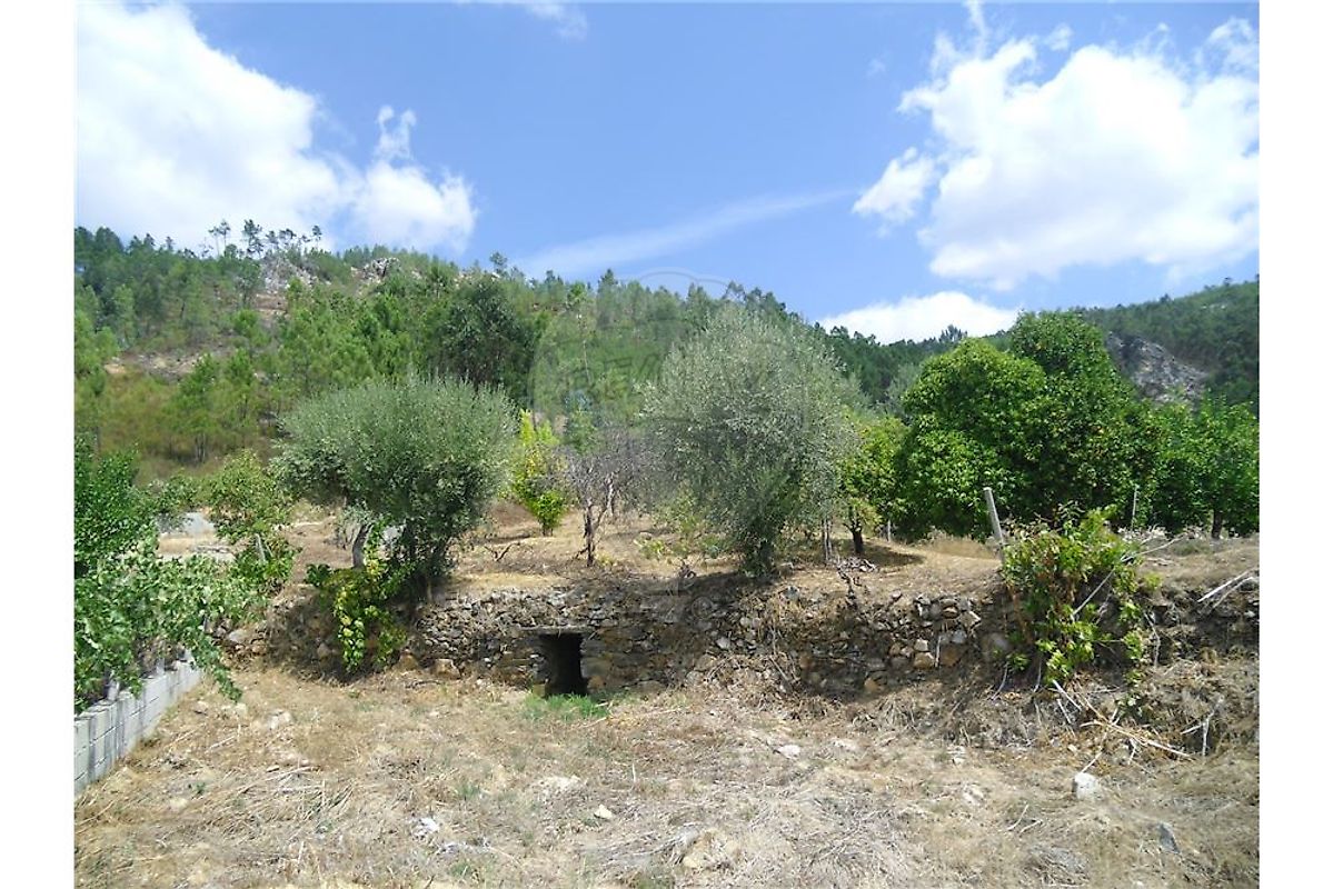Terreno à venda em Proença-a-Nova