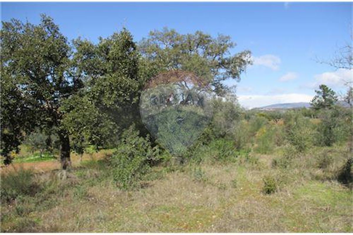 Quinta T0 à venda em Castelo Branco