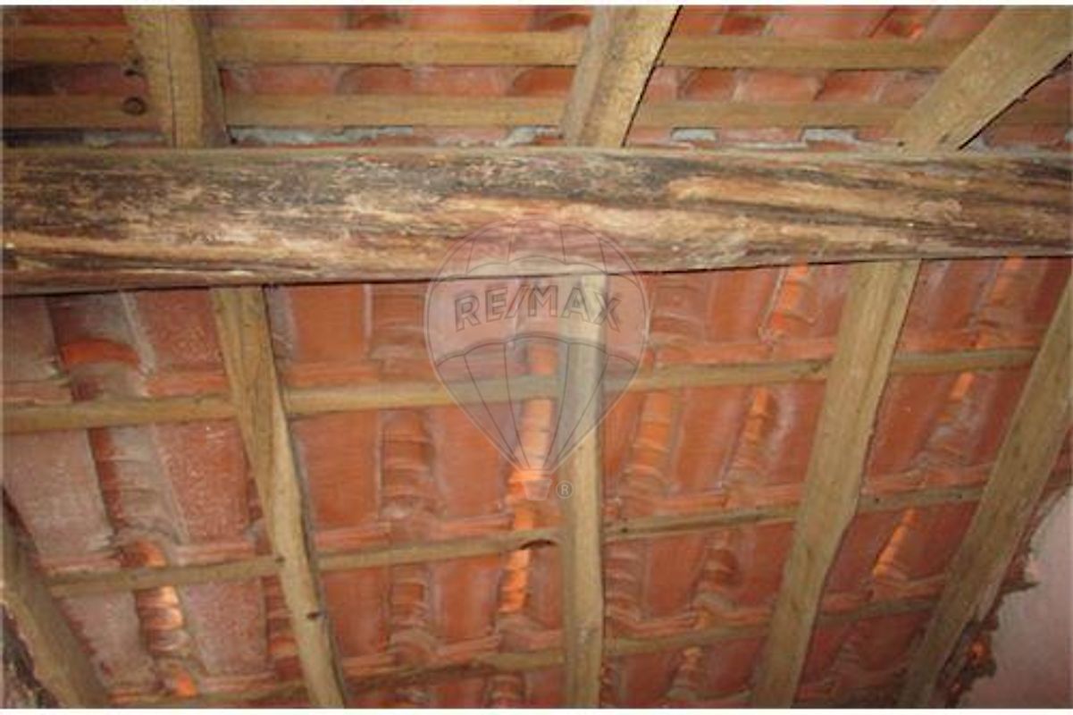 listing 120461025-3287 picture-0