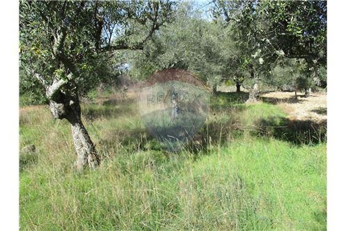 Quinta T0 à venda em Penamacor