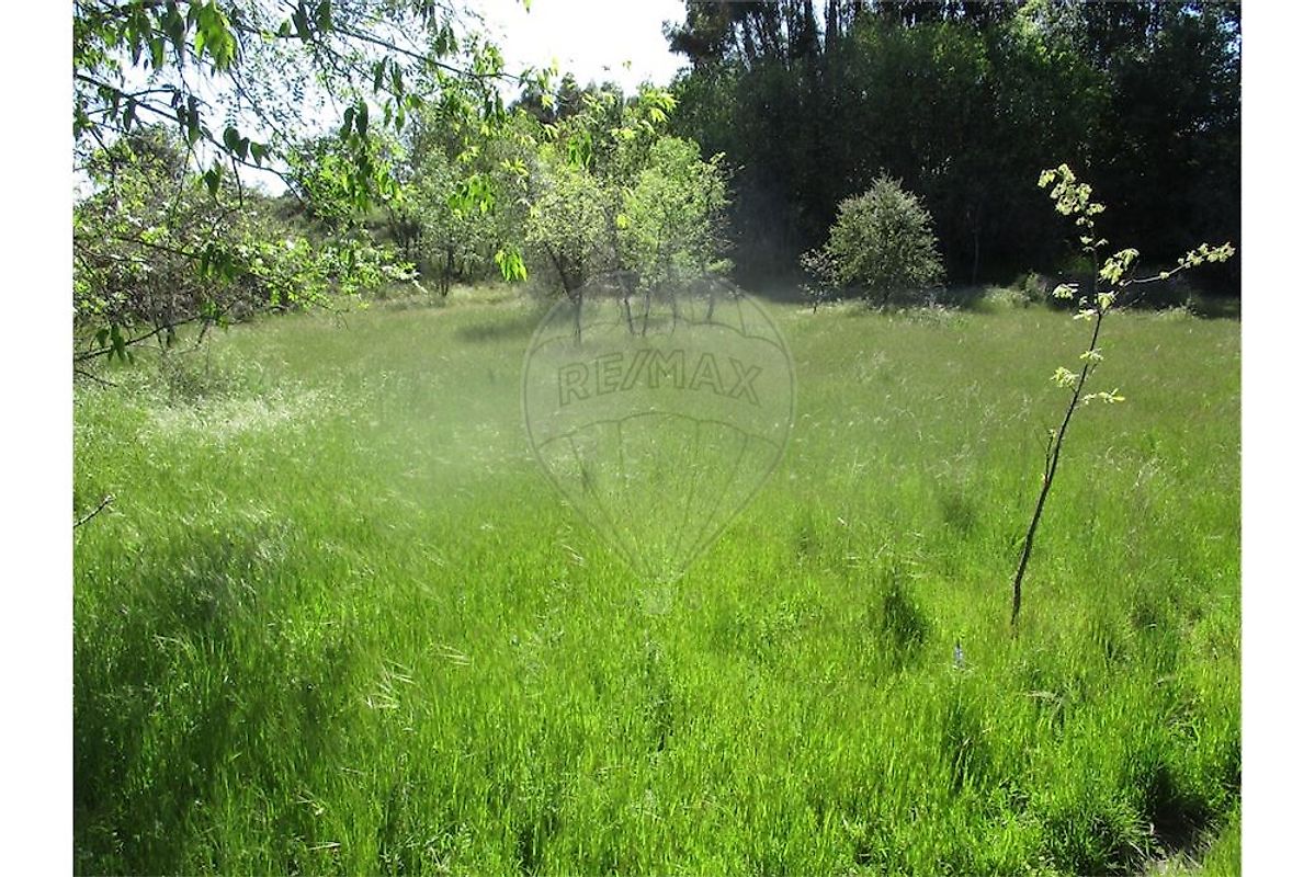 listing 120461025-3458 picture-0