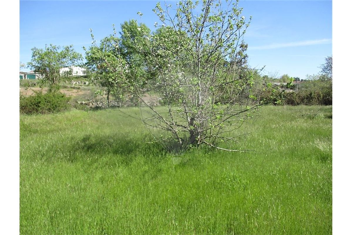 listing 120461025-3458 picture-0