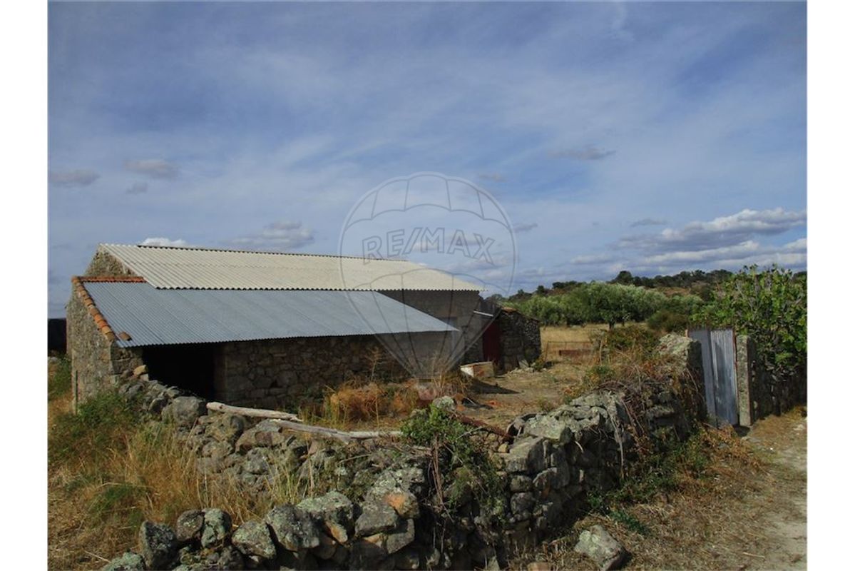 EXELENTE QUINTA COM 11000m²