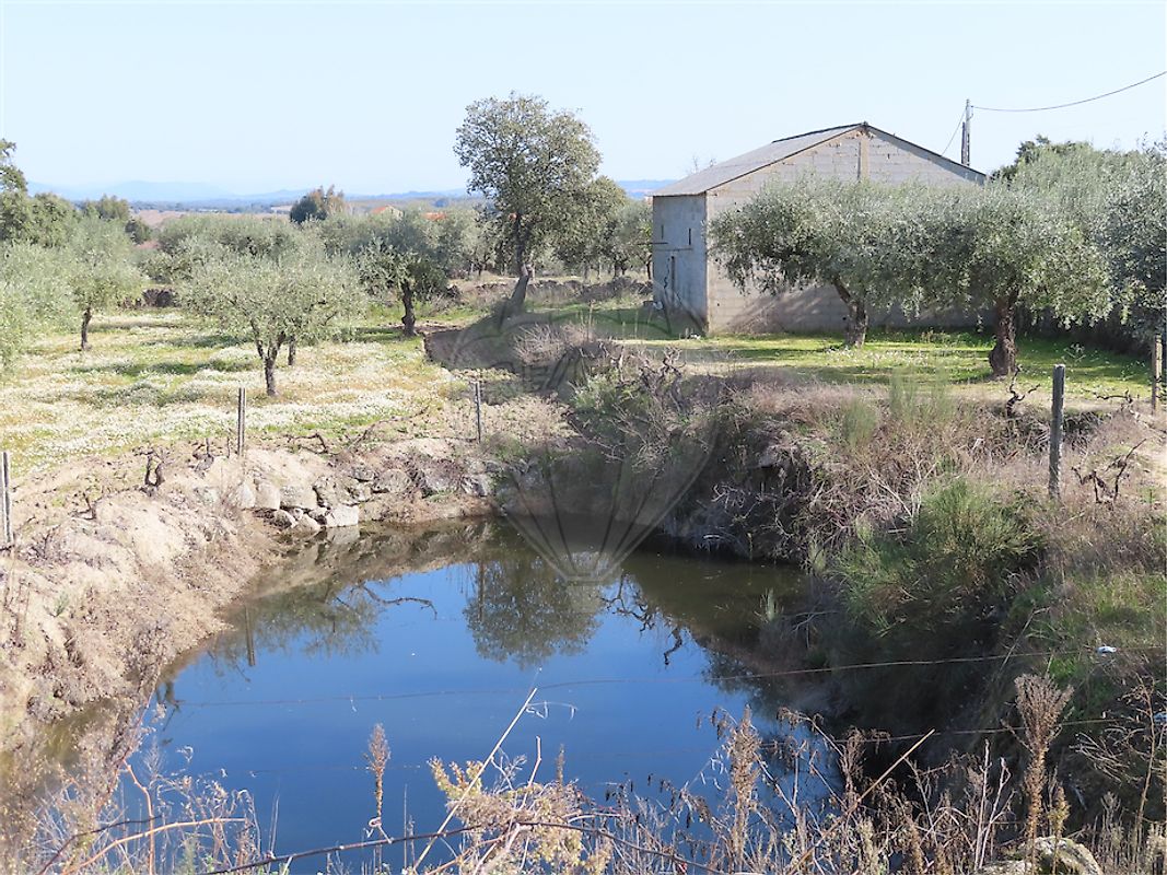 Quinta à venda em Fundão