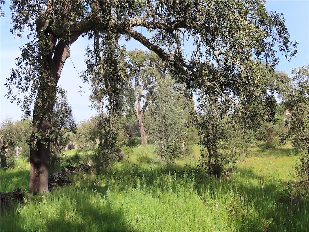 listing 120461025-3800 picture-0