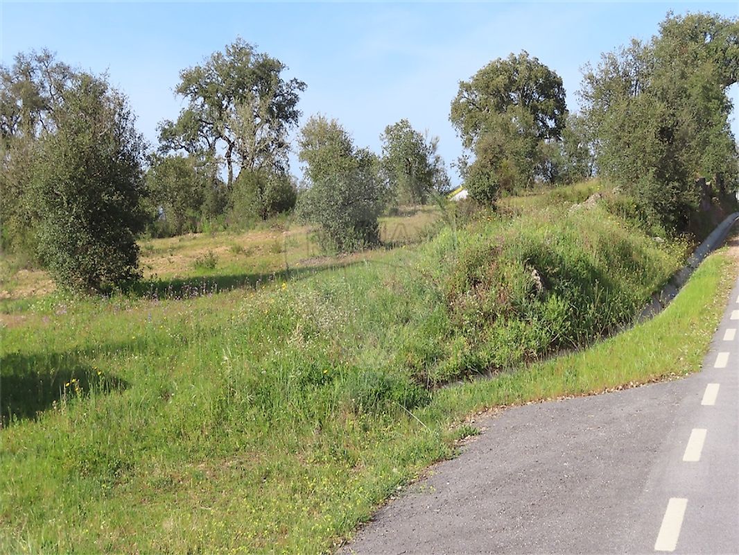 listing 120461025-3800 picture-0