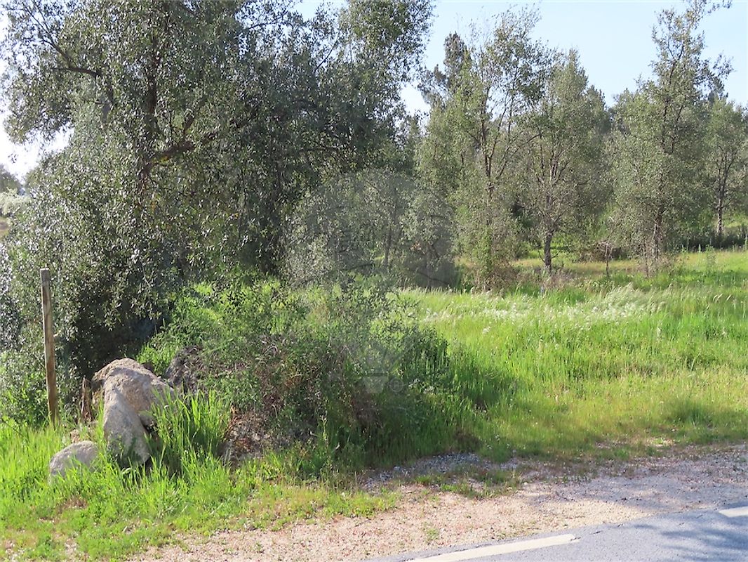 listing 120461025-3800 picture-0