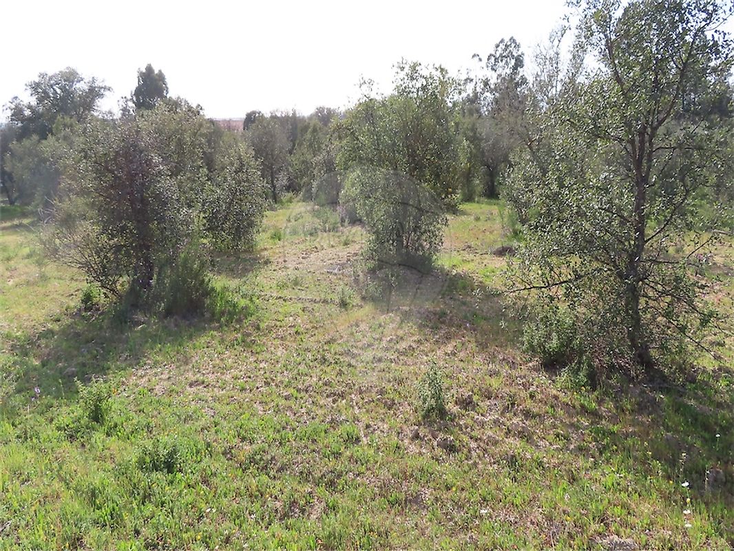 listing 120461025-3800 picture-0