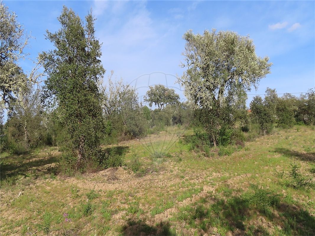 listing 120461025-3800 picture-0