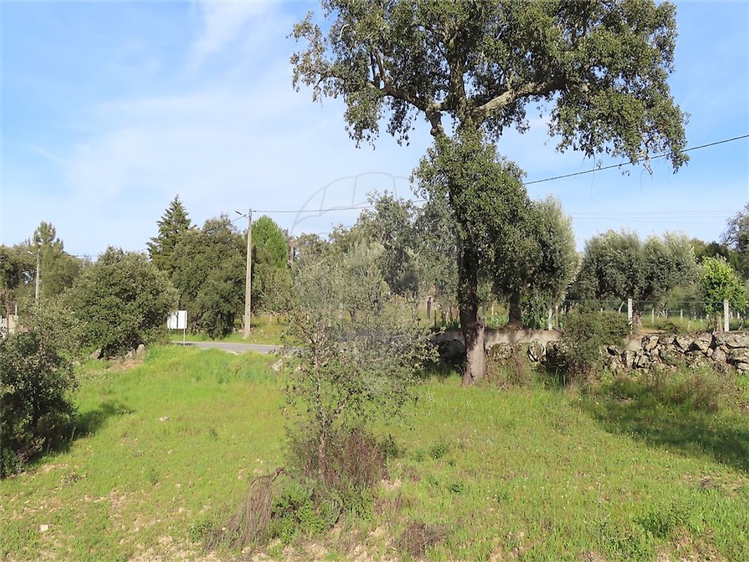 listing 120461025-3800 picture-0