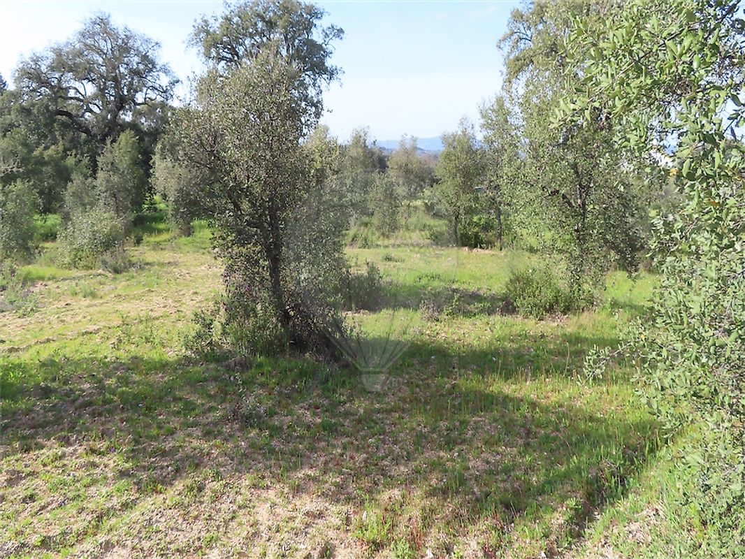 listing 120461025-3800 picture-0