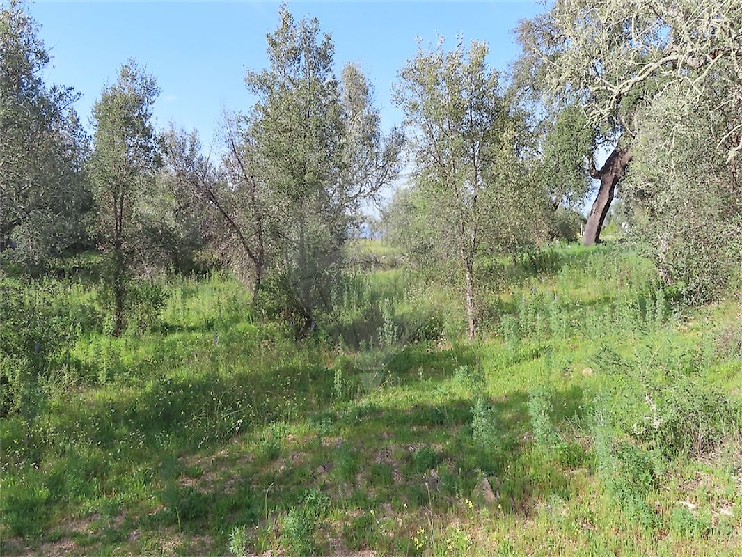 listing 120461025-3800 picture-0