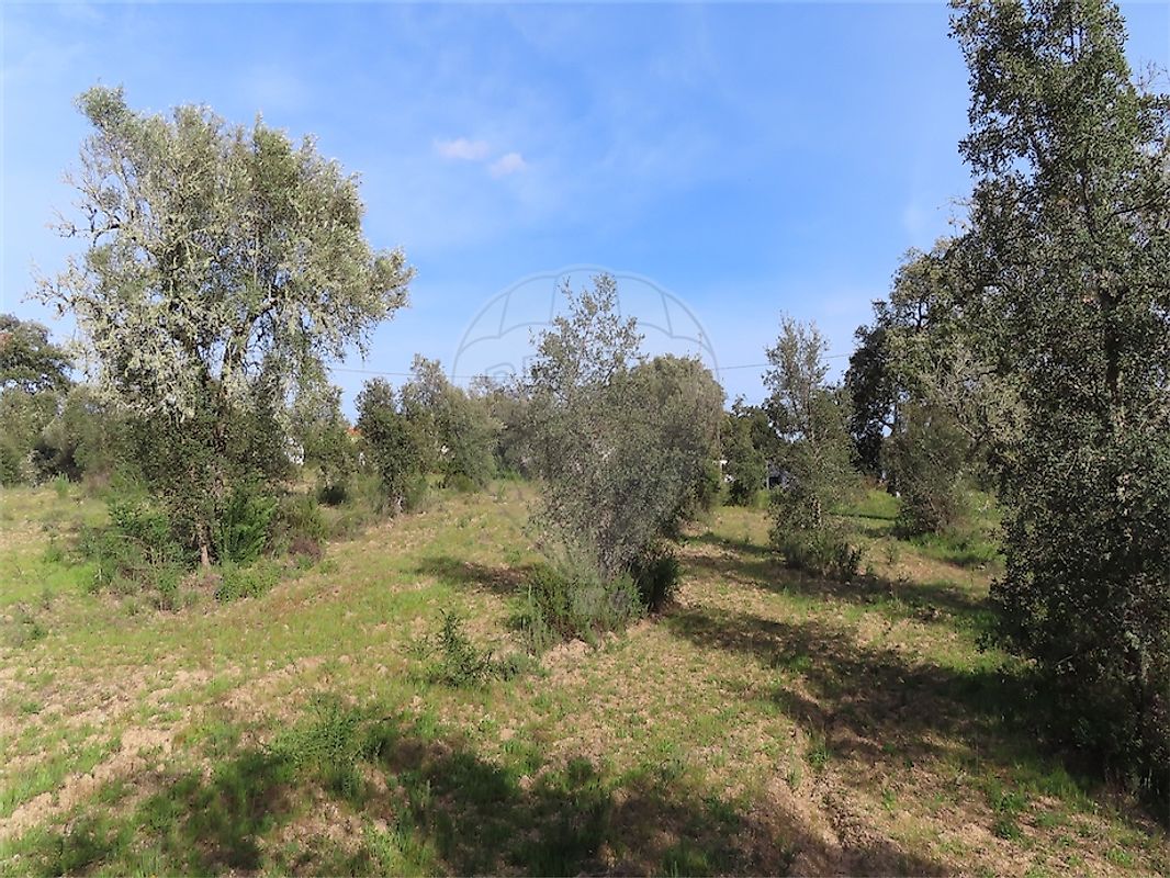 listing 120461025-3800 picture-0