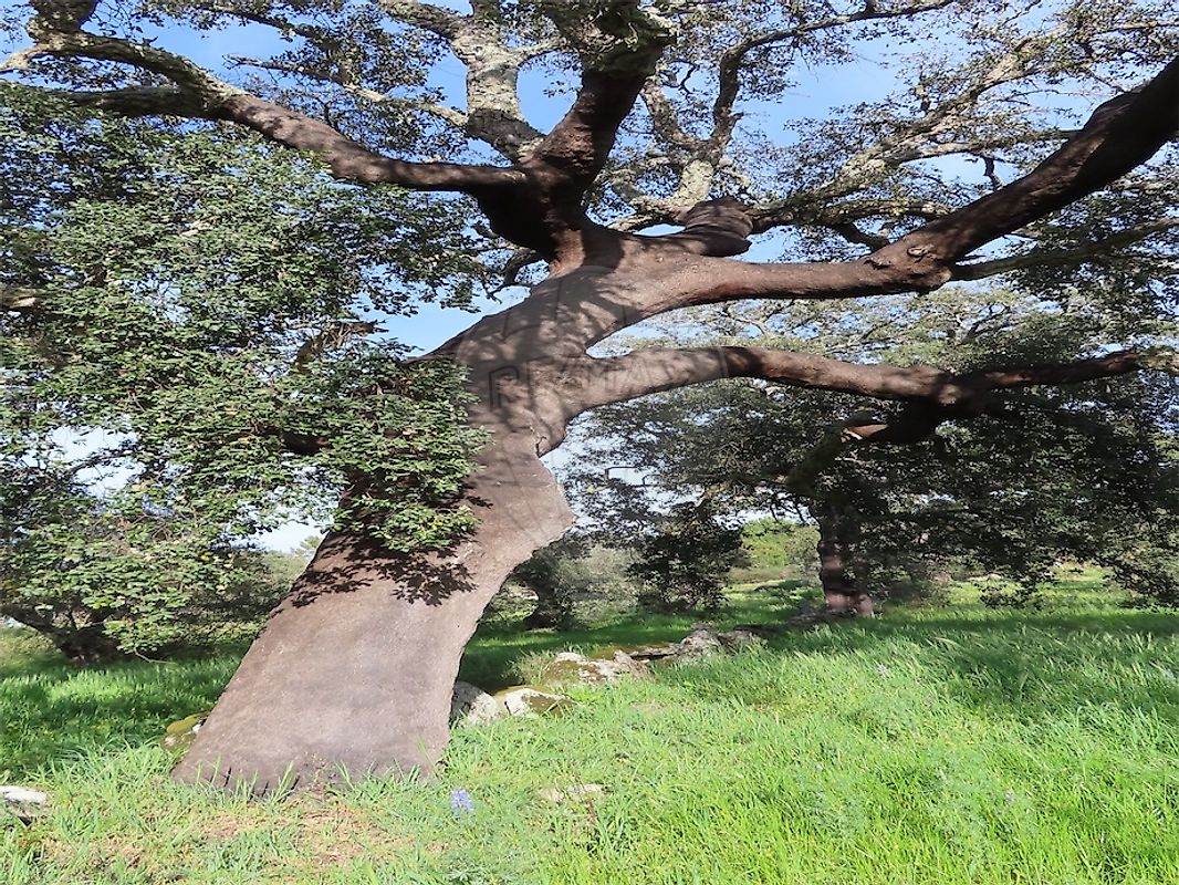 listing 120461025-3800 picture-0