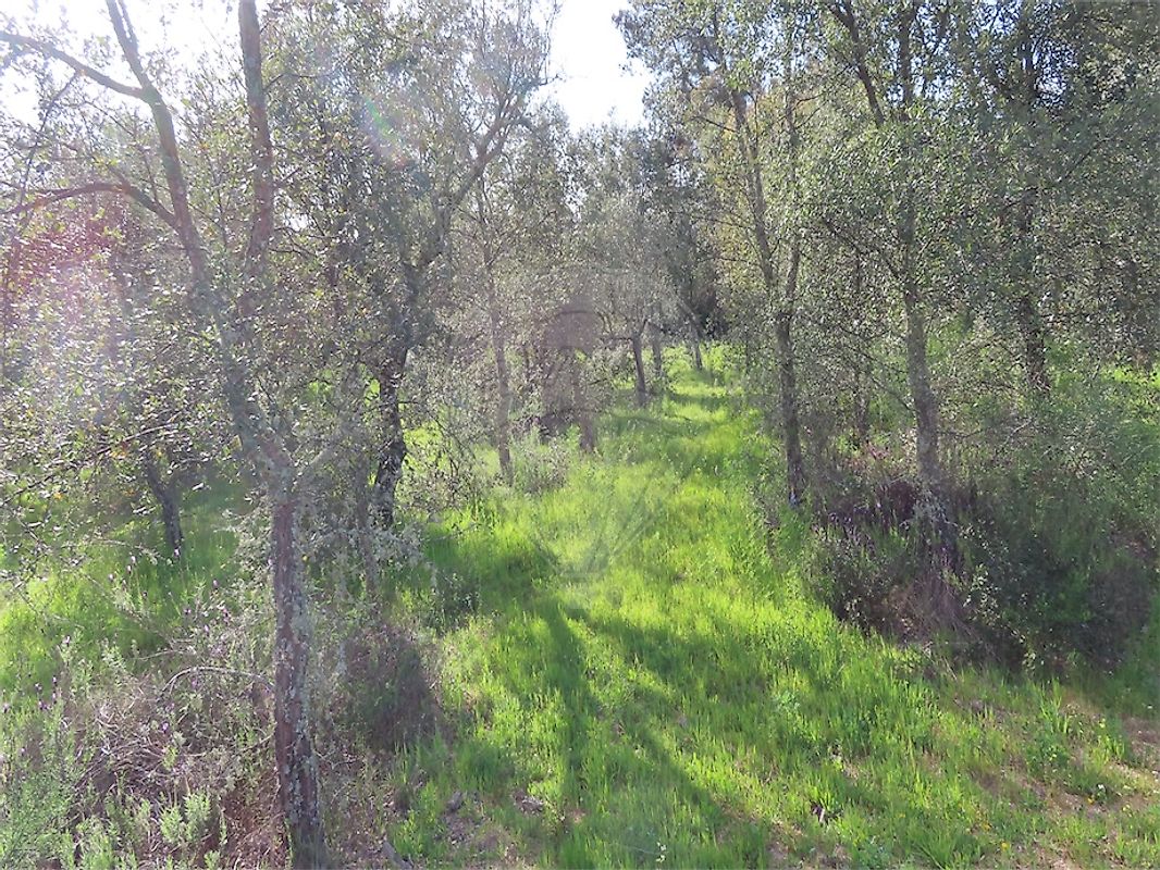 listing 120461025-3800 picture-0