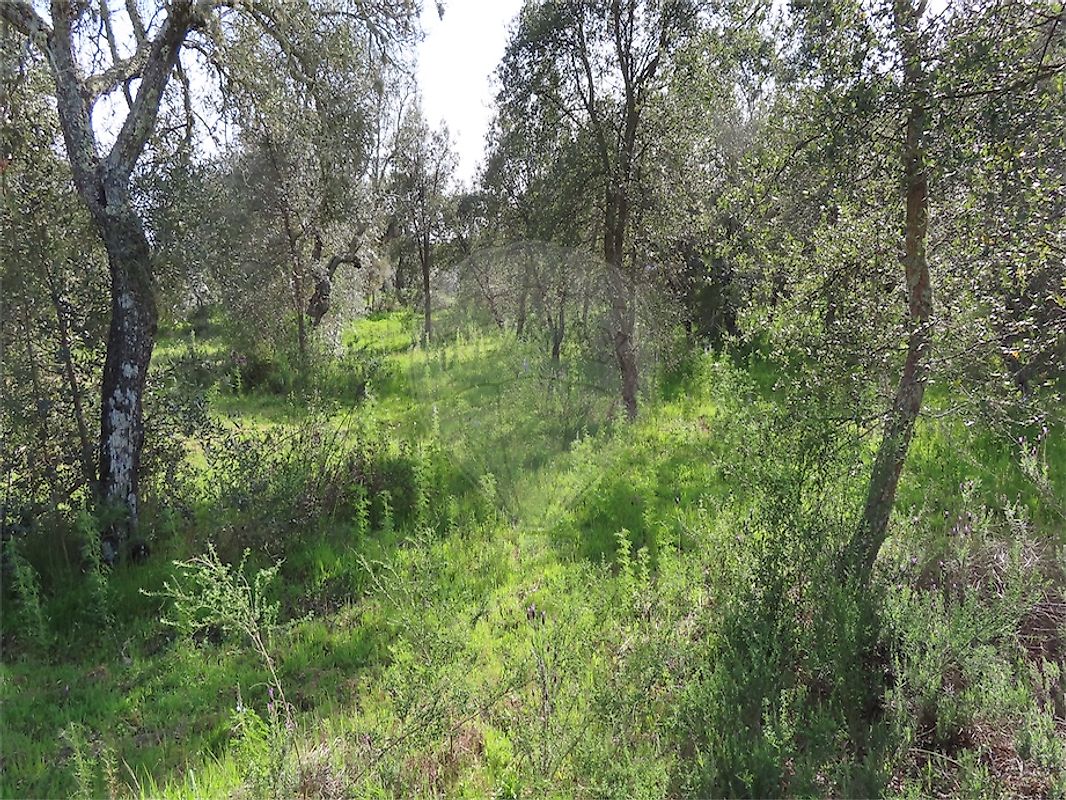 listing 120461025-3800 picture-0