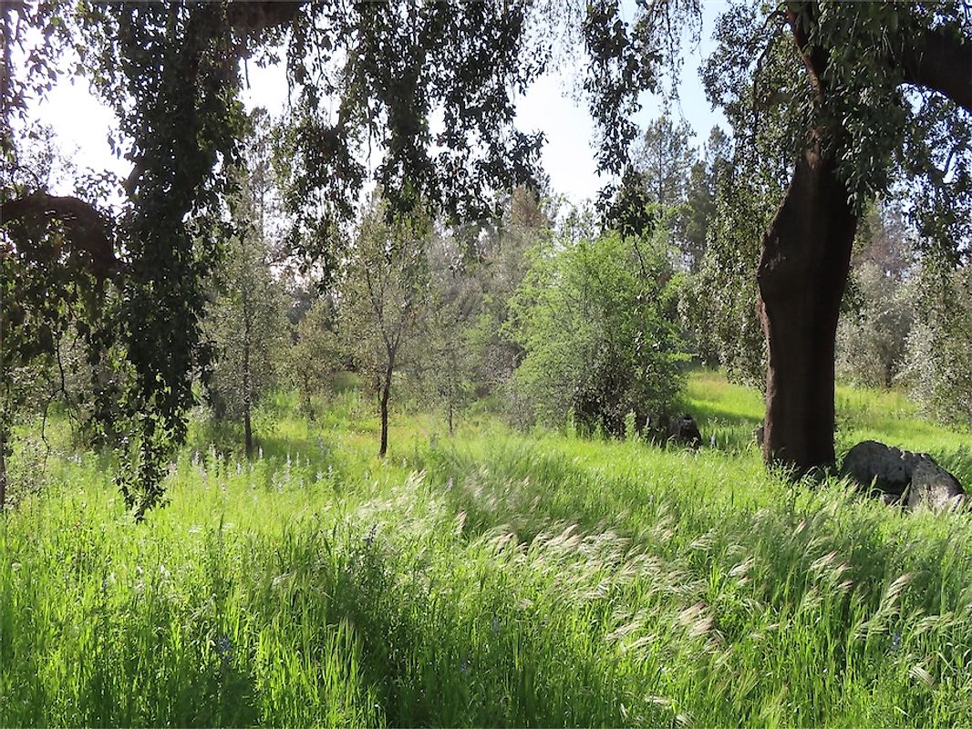 listing 120461025-3800 picture-0