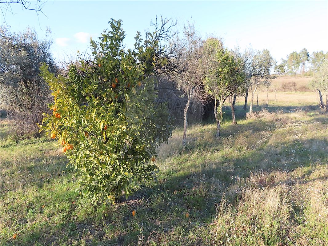 Quinta - Lardosa, Castelo Branco, Castelo Branco