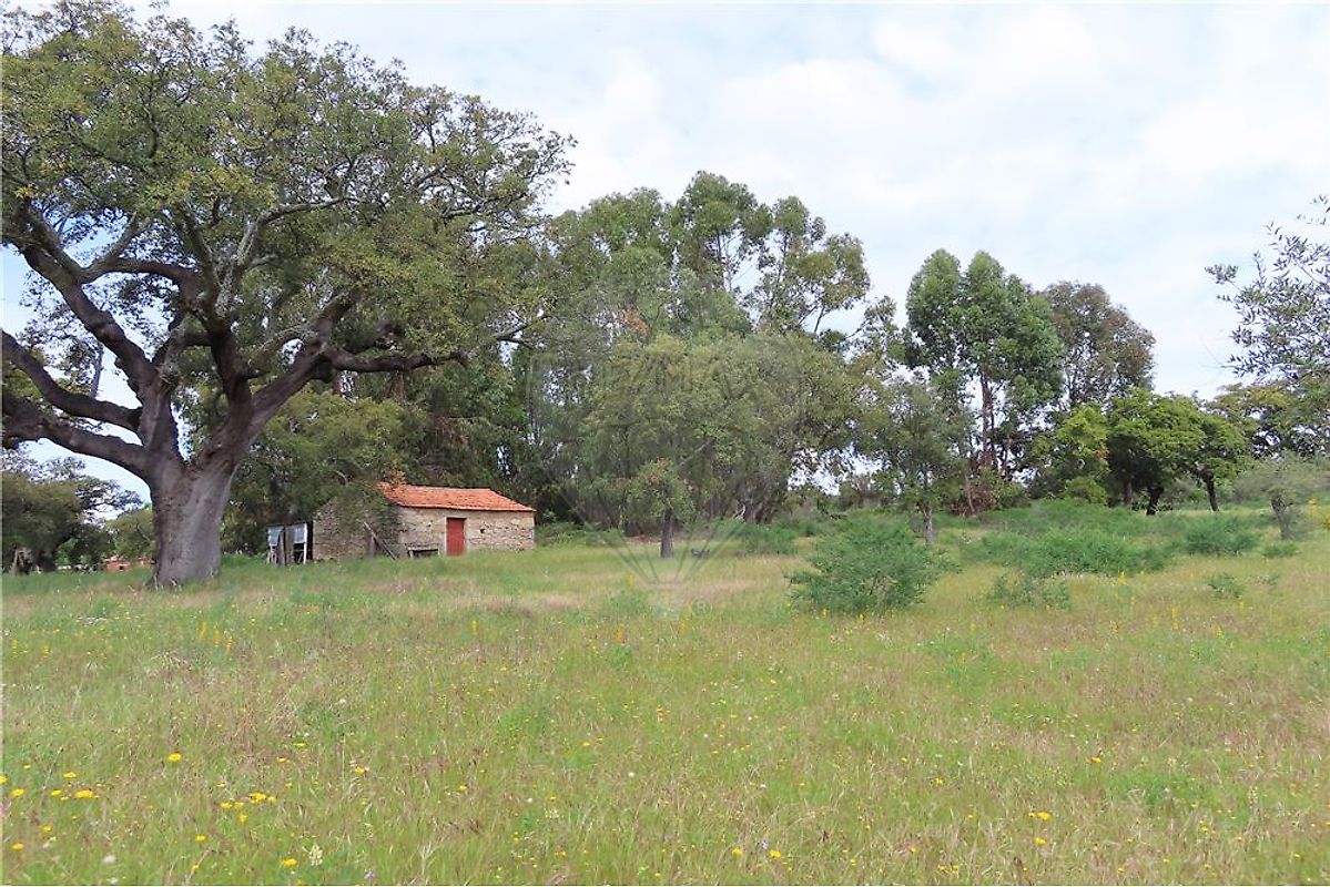 Quinta T0 à venda em Penamacor