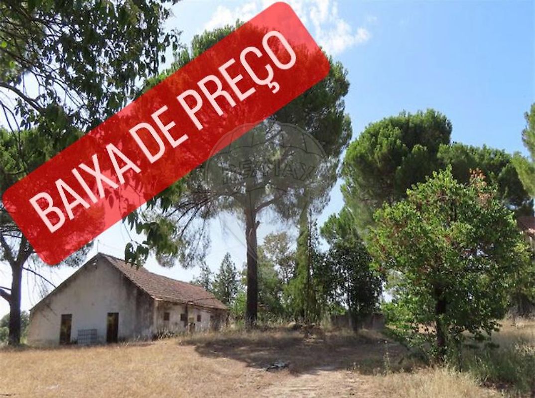 Quinta à venda em Castelo Branco