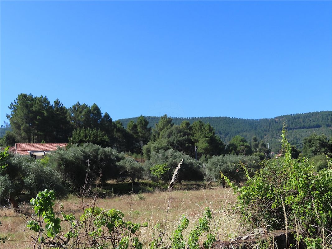 Quinta - Fundão, Valverde, Donas, Aldeia de Joanes e Aldeia Nova do Cabo, Fundão, Castelo Branco