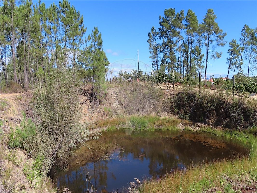Quinta à venda em Castelo Branco