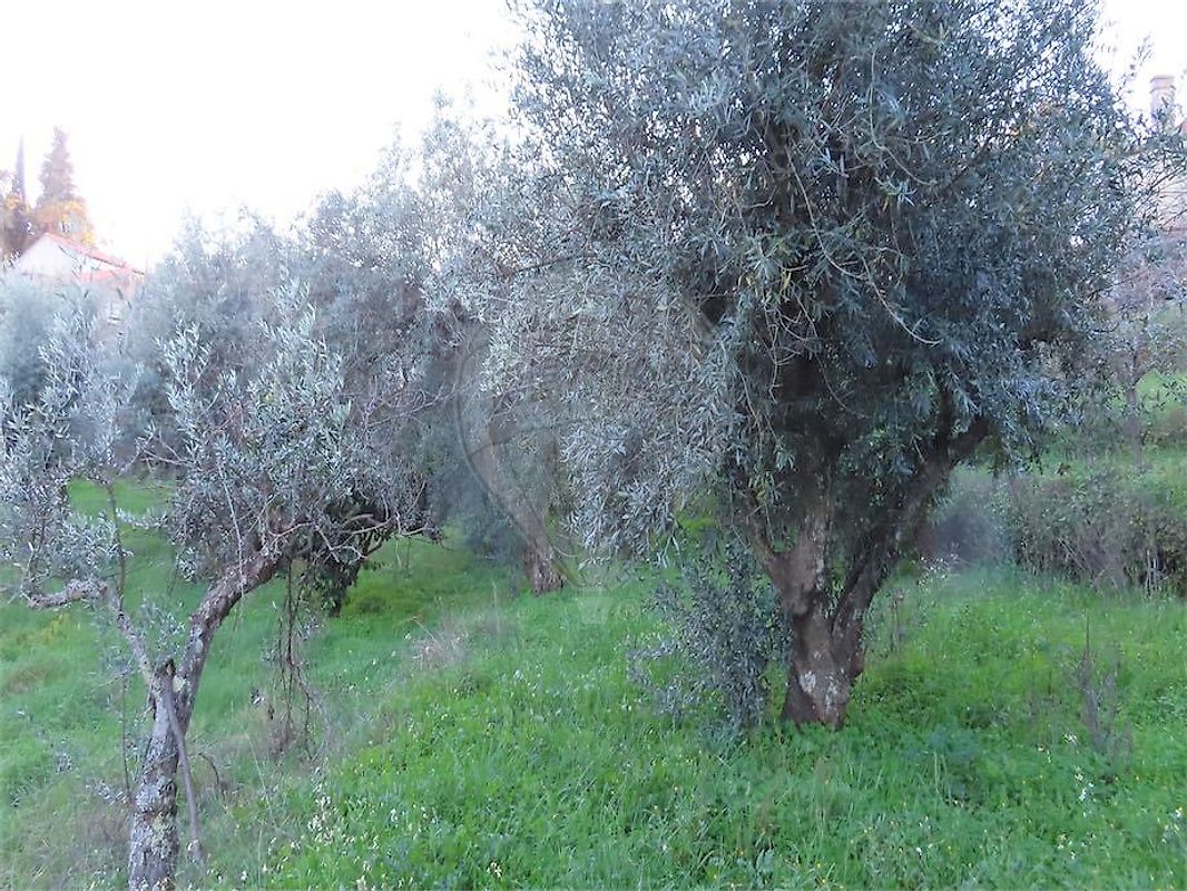 Moradia T3 à venda em Ninho do Açor e Sobral do Campo, Castelo Branco — foto 20