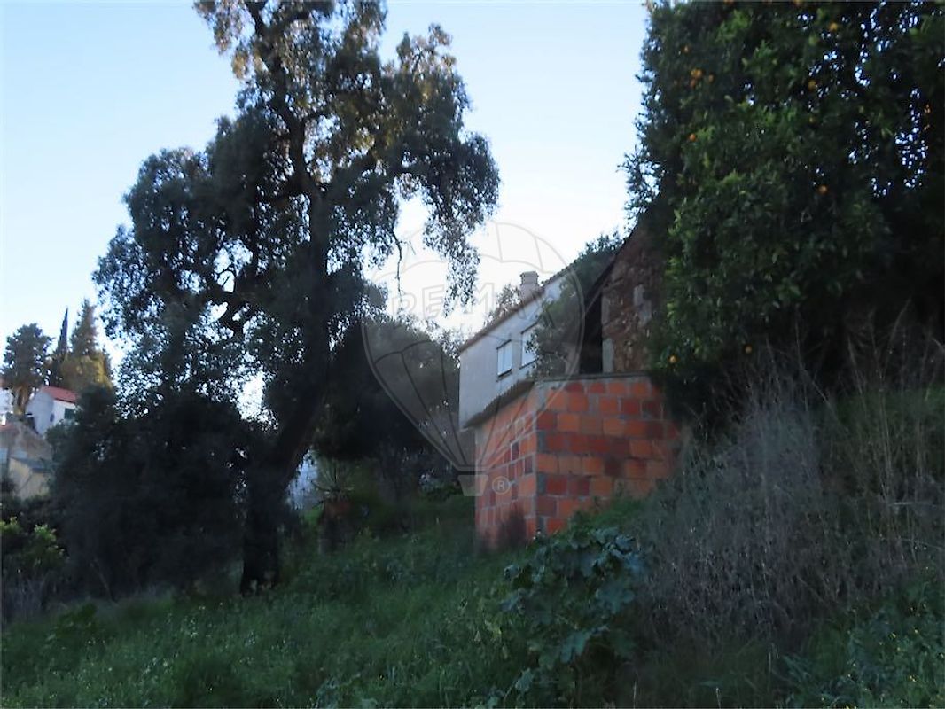 Moradia T3 à venda em Ninho do Açor e Sobral do Campo, Castelo Branco — foto 16