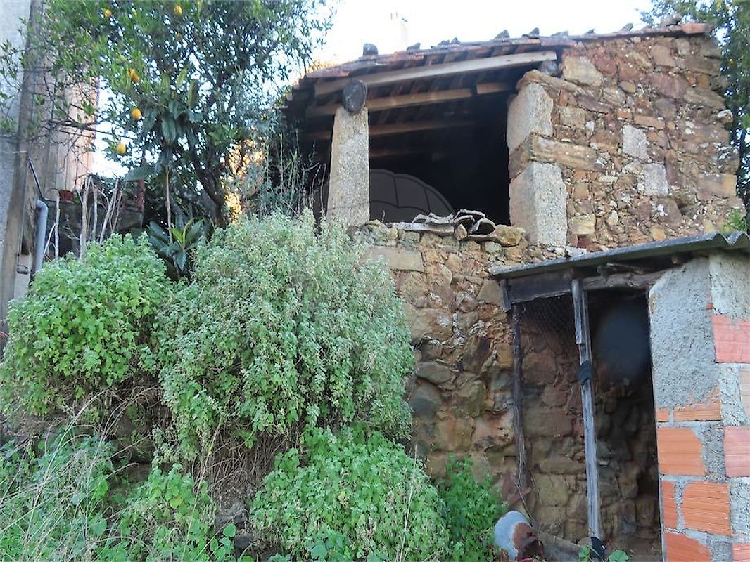 Moradia T3 à venda em Ninho do Açor e Sobral do Campo, Castelo Branco — foto 13