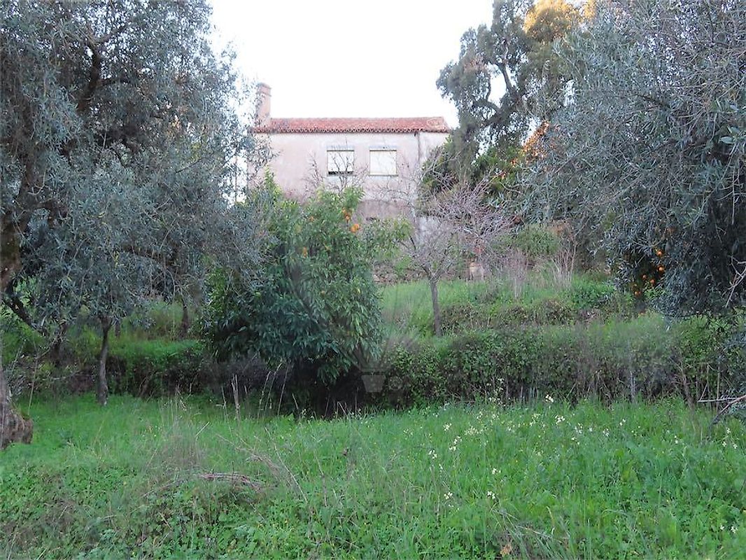 Moradia T3 à venda em Ninho do Açor e Sobral do Campo, Castelo Branco — foto 22