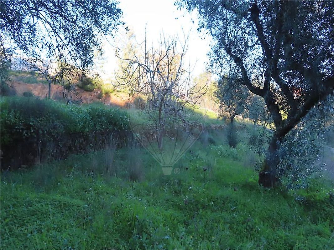 Moradia T3 à venda em Ninho do Açor e Sobral do Campo, Castelo Branco — foto 21