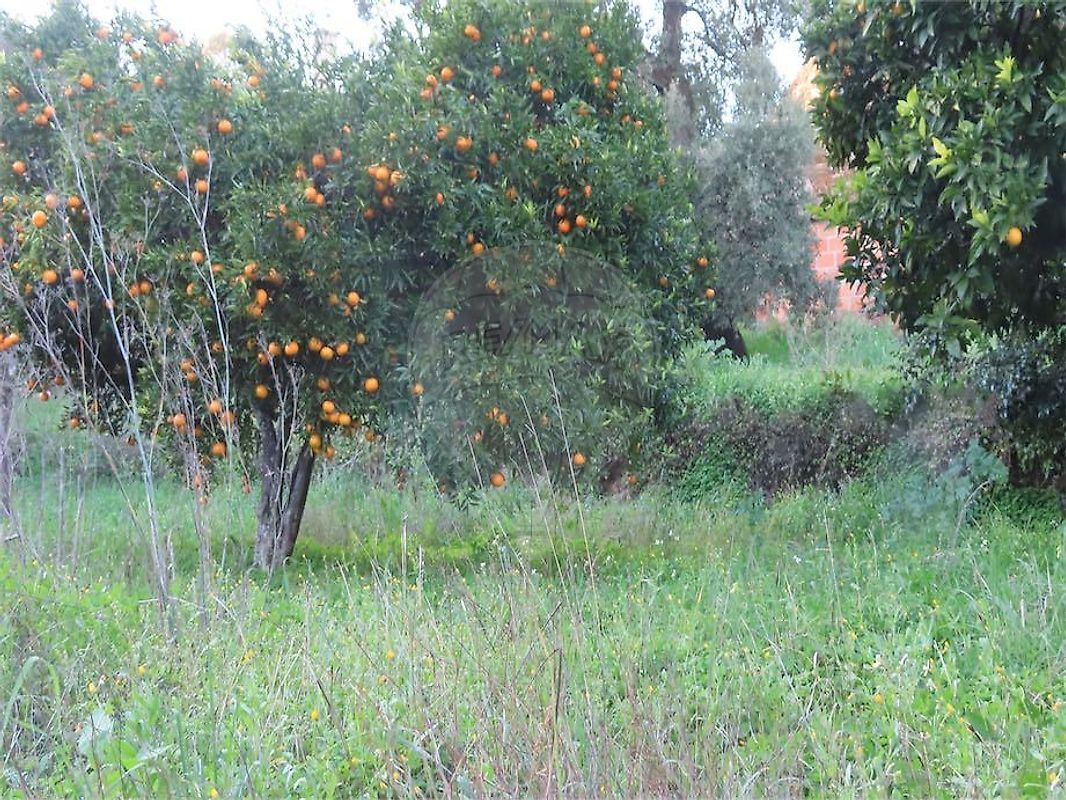 Moradia T3 à venda em Ninho do Açor e Sobral do Campo, Castelo Branco — foto 18
