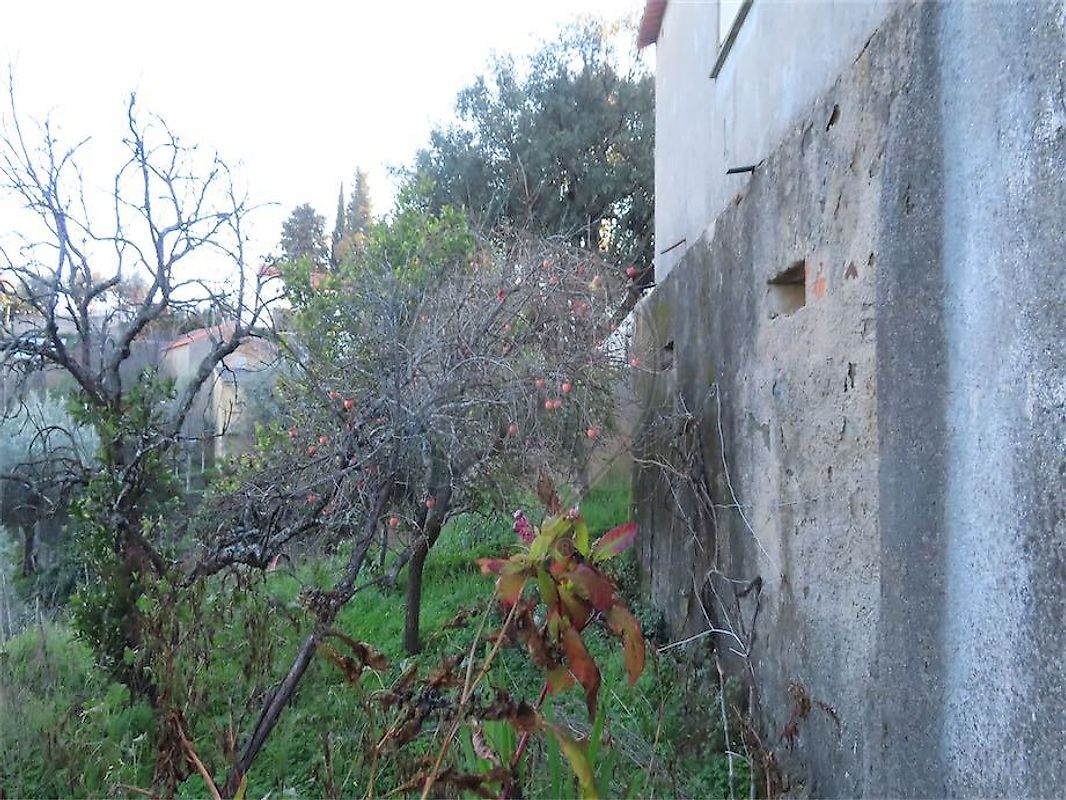 Moradia T3 à venda em Ninho do Açor e Sobral do Campo, Castelo Branco — foto 11