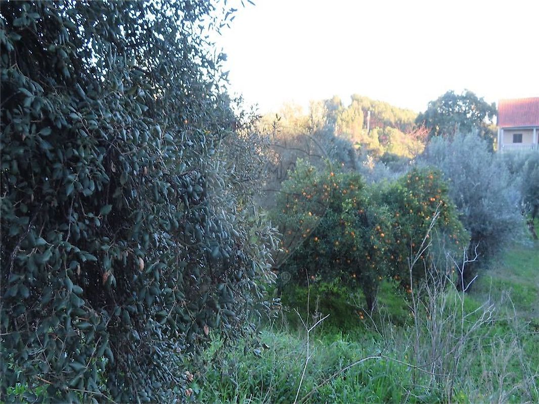 Moradia T3 à venda em Ninho do Açor e Sobral do Campo, Castelo Branco — foto 15