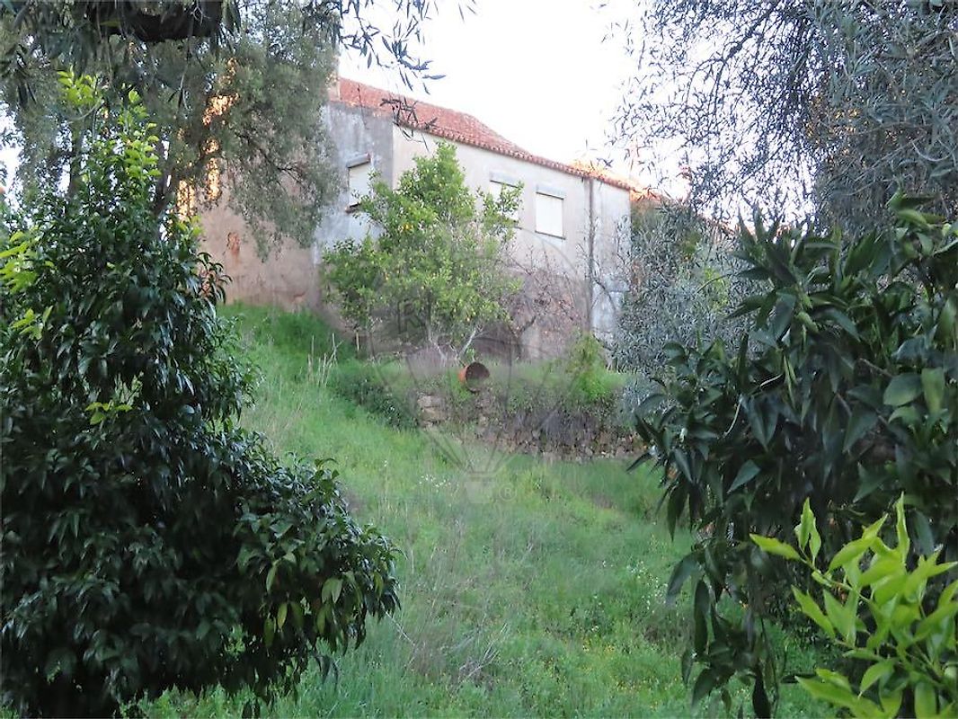 Moradia T3 à venda em Ninho do Açor e Sobral do Campo, Castelo Branco — foto 24