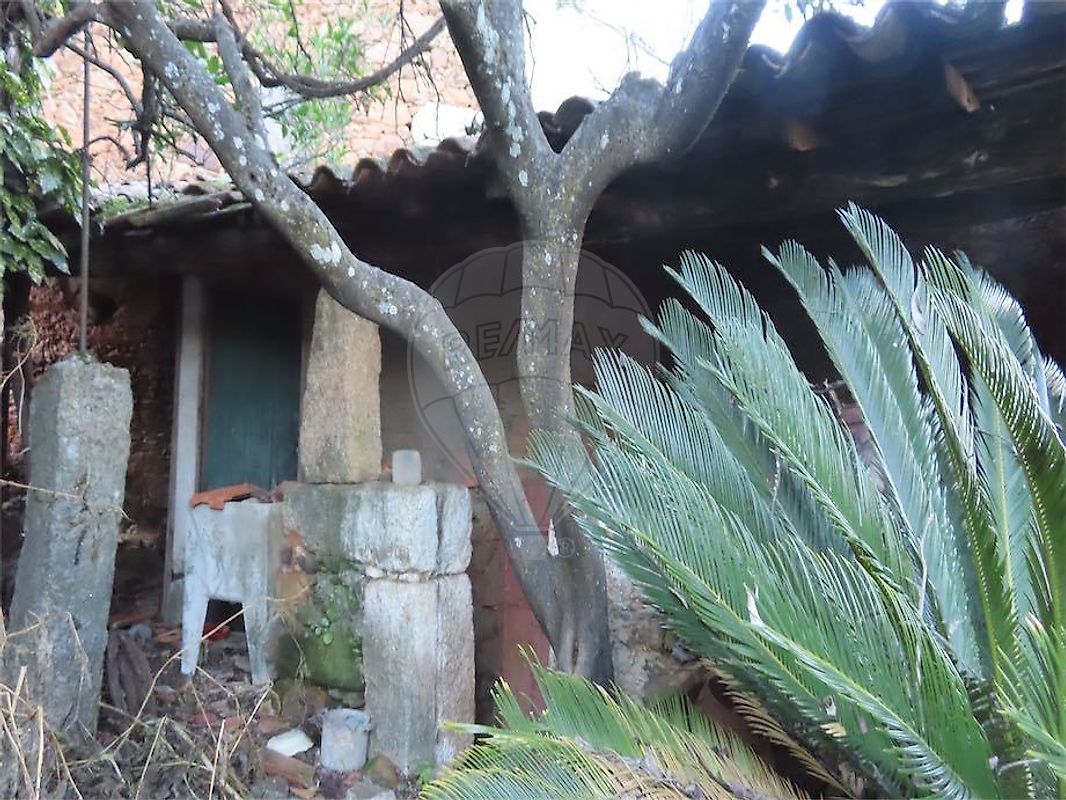 Moradia T3 à venda em Ninho do Açor e Sobral do Campo, Castelo Branco — foto 10
