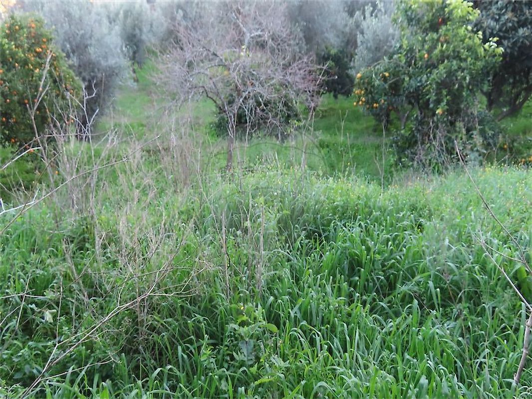 Moradia T3 à venda em Ninho do Açor e Sobral do Campo, Castelo Branco — foto 14