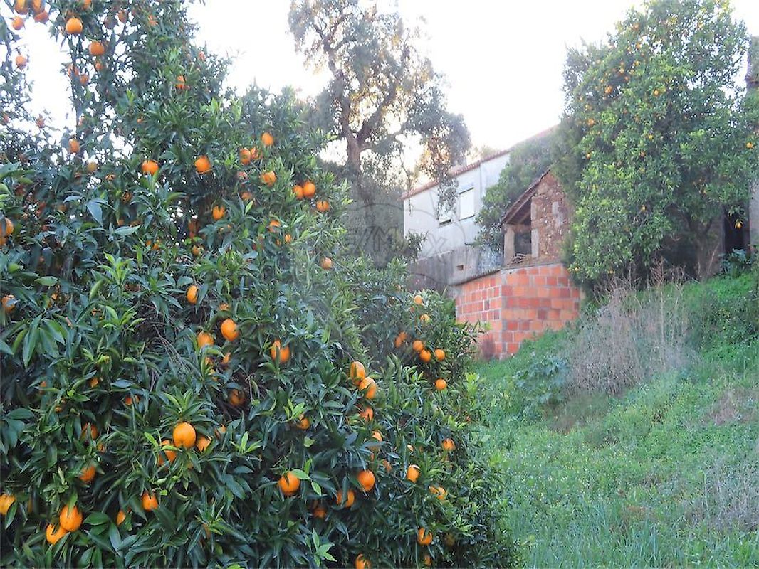 Moradia T3 à venda em Ninho do Açor e Sobral do Campo, Castelo Branco — foto 17